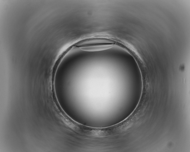 X0000091071176200708131146