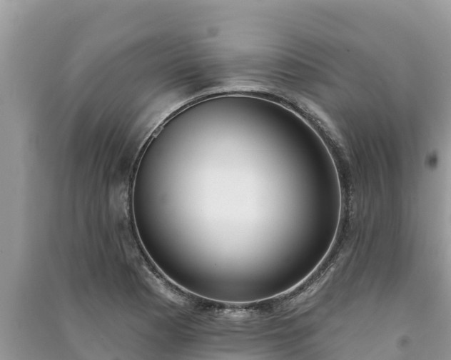 X0000091071177200708131146