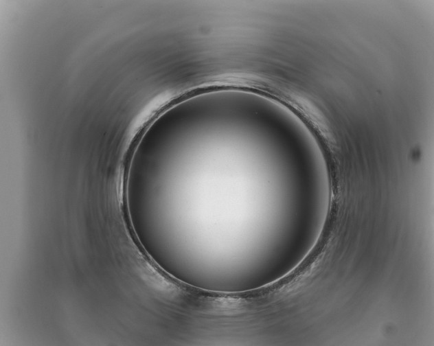 X0000091071180200708131146
