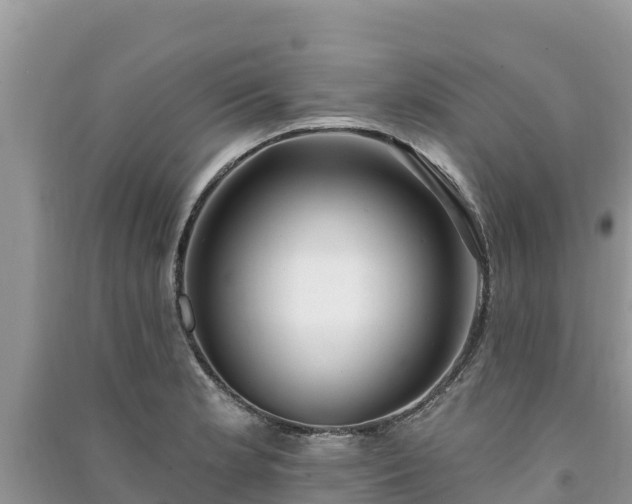 X0000091071181200708131146