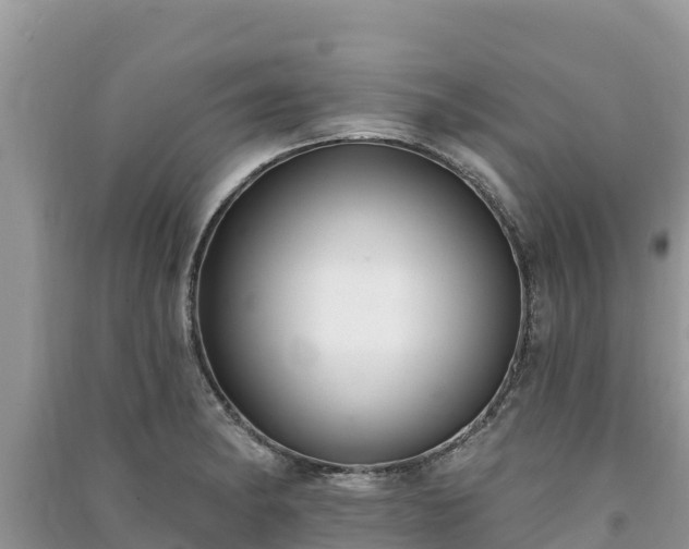 X0000091071182200708131146