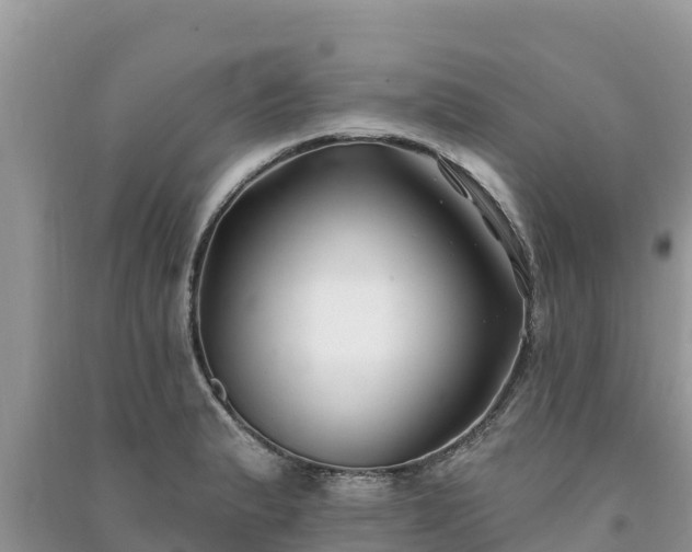 X0000091071183200708131146