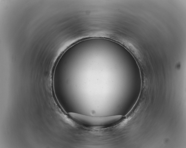 X0000091071184200708131146
