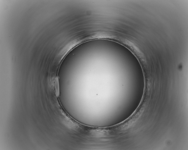 X0000091071185200708131146