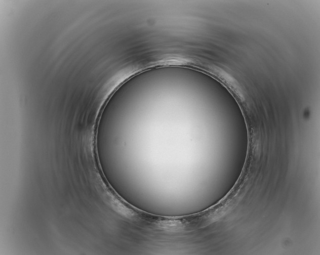 X0000091071186200708131146
