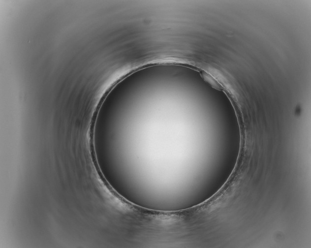 X0000091071189200708131146