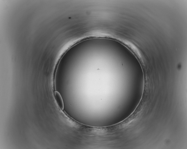 X0000091071191200708131146