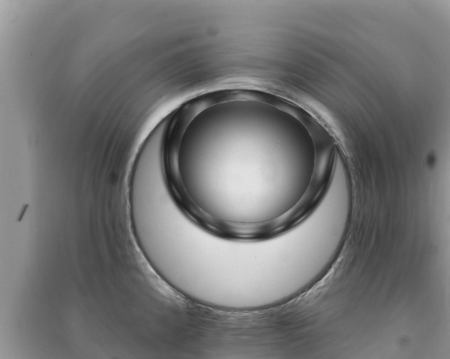 X0000091071192200708131146
