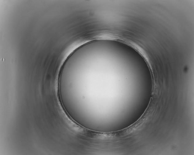X0000091071195200708131146