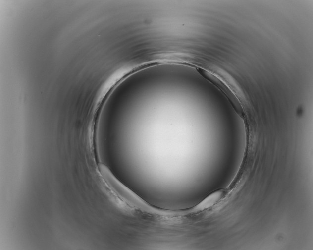 X0000091071196200708131146