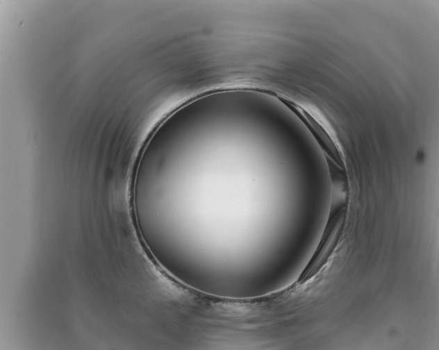X0000091071197200708131146