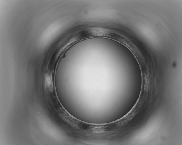 X0000091071198200708131146