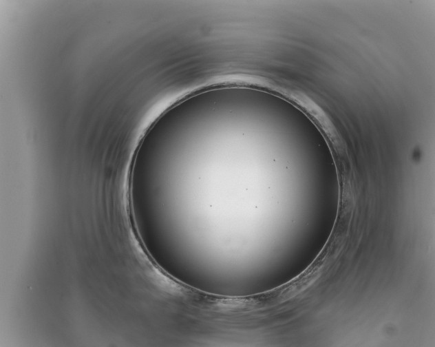 X0000091071199200708131146