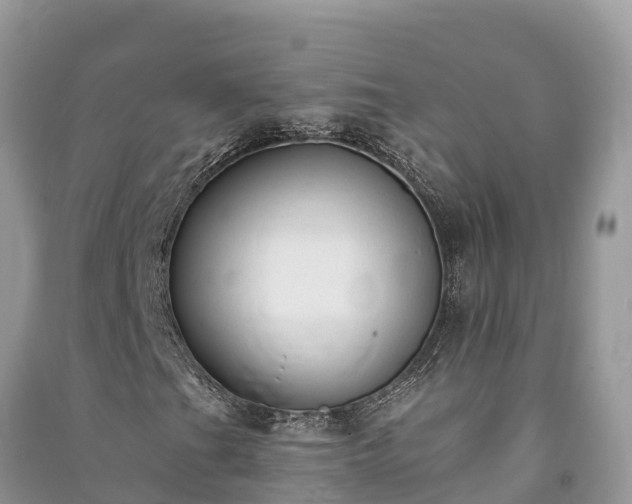 X0000091071201200708131145