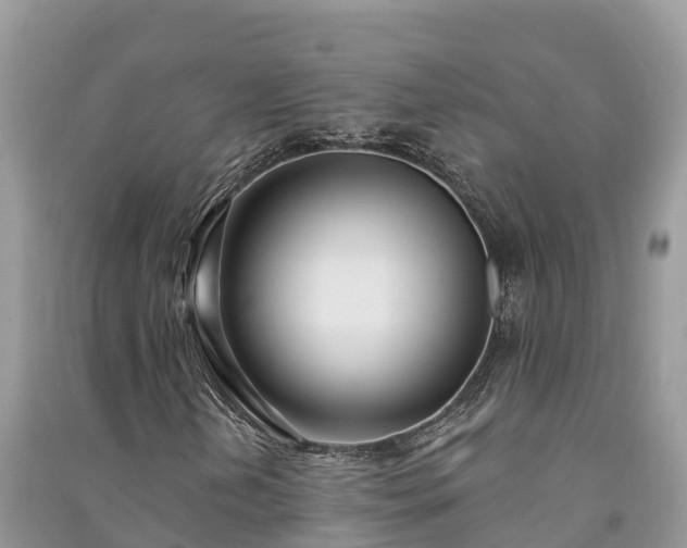 X0000091071202200708131145