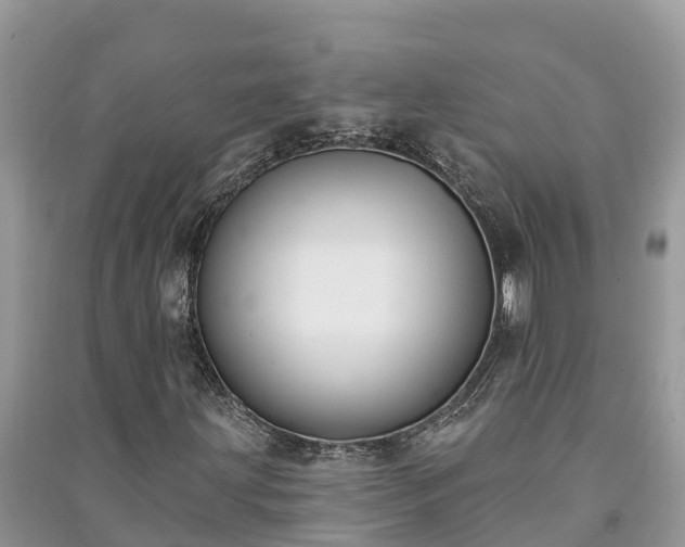 X0000091071203200708131145
