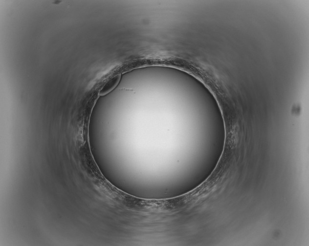 X0000091071205200708131145