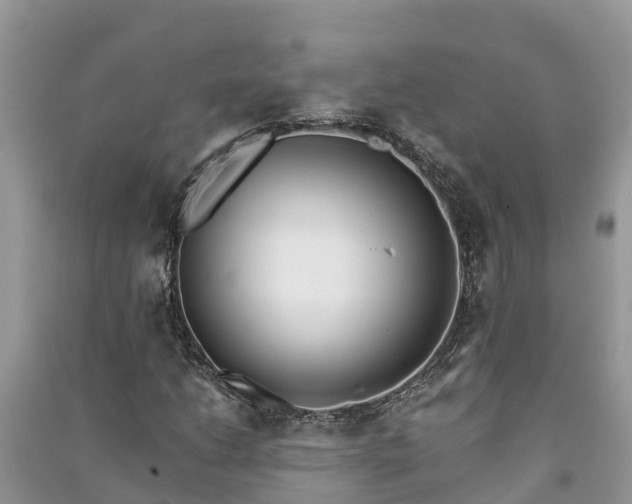 X0000091071206200708131145
