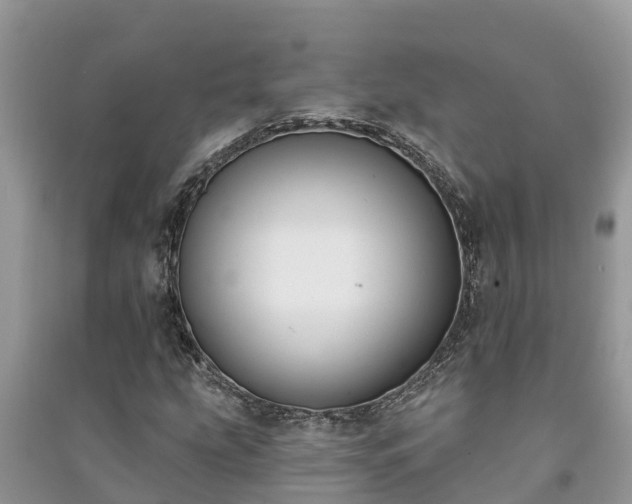 X0000091071207200708131145