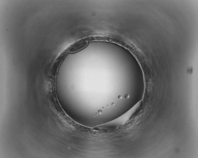 X0000091071208200708131145
