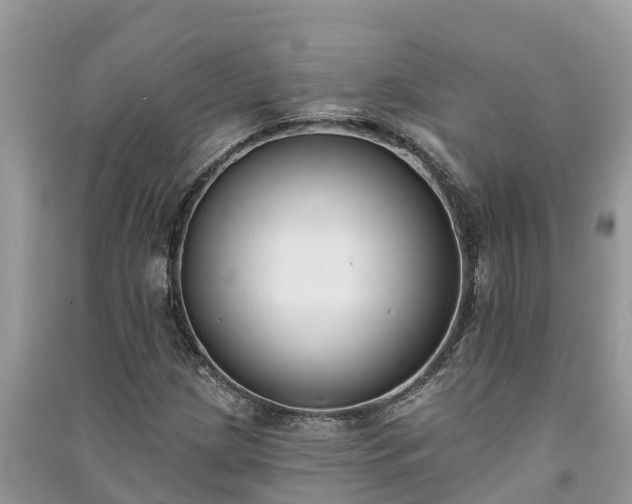 X0000091071209200708131145