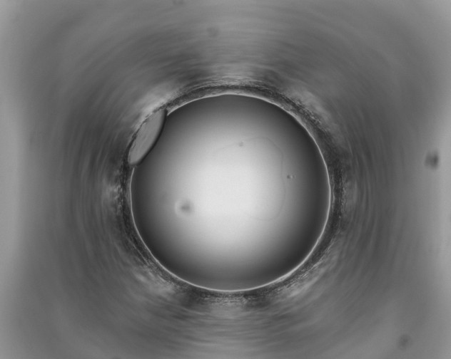 X0000091071210200708131145