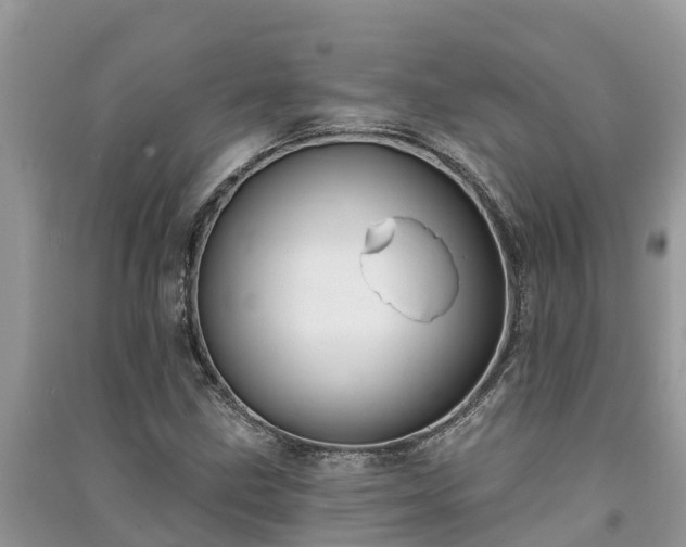 X0000091071211200708131145