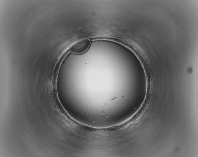X0000091071212200708131145