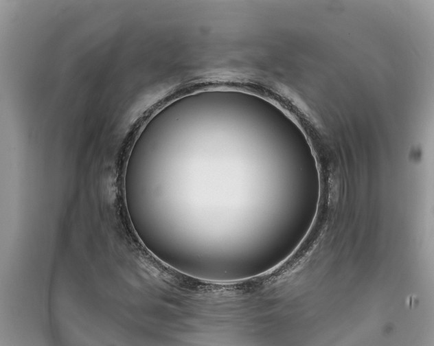 X0000091071213200708131145