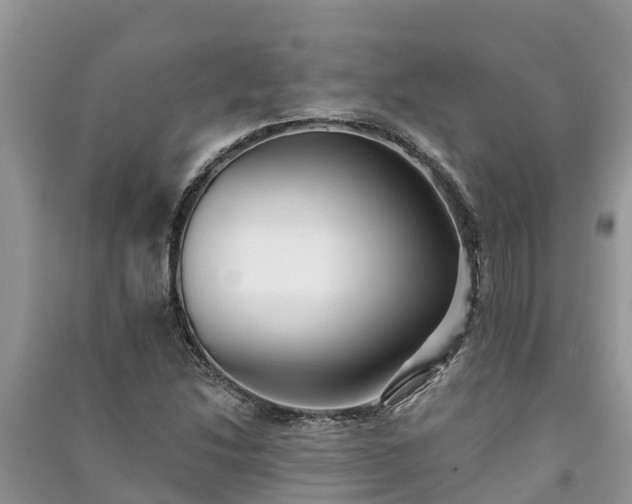 X0000091071214200708131145