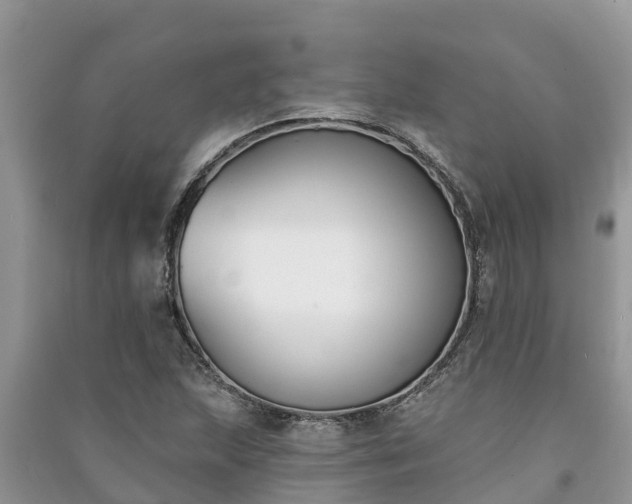 X0000091071215200708131145