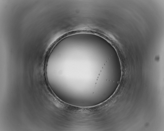 X0000091071216200708131145