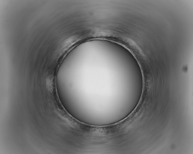 X0000091071217200708131145