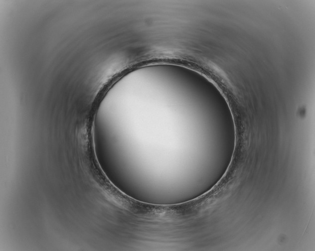 X0000091071218200708131145