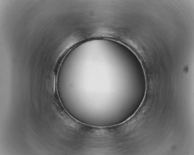 X0000091071219200708131145