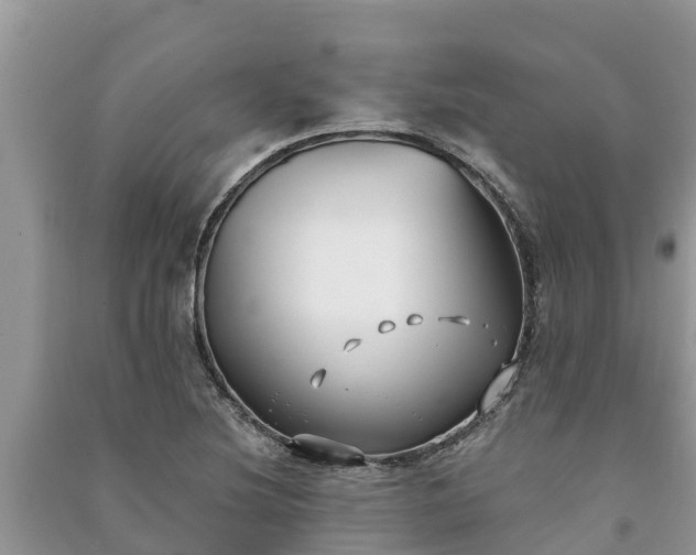 X0000091071220200708131145