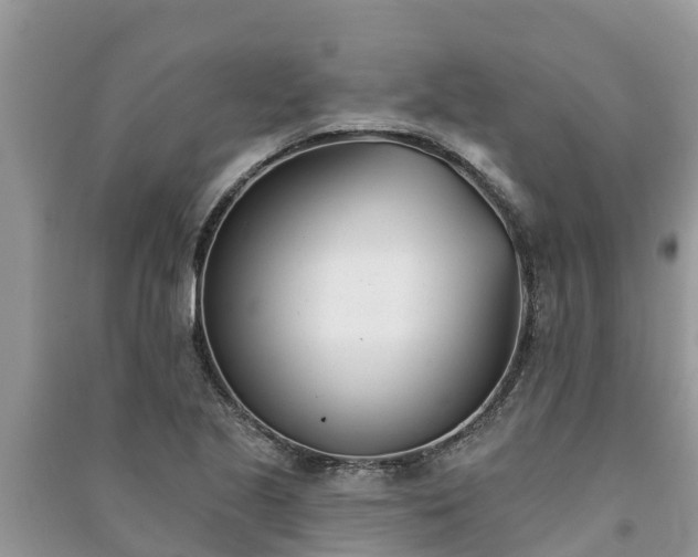 X0000091071221200708131145
