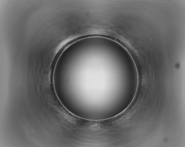 X0000091071222200708131145