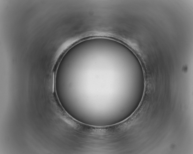 X0000091071223200708131145