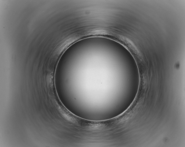X0000091071225200708131145