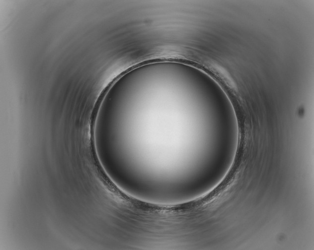 X0000091071226200708131145