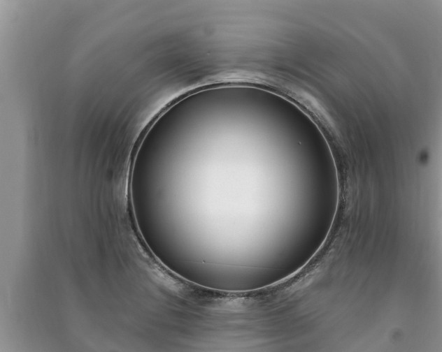X0000091071228200708131145