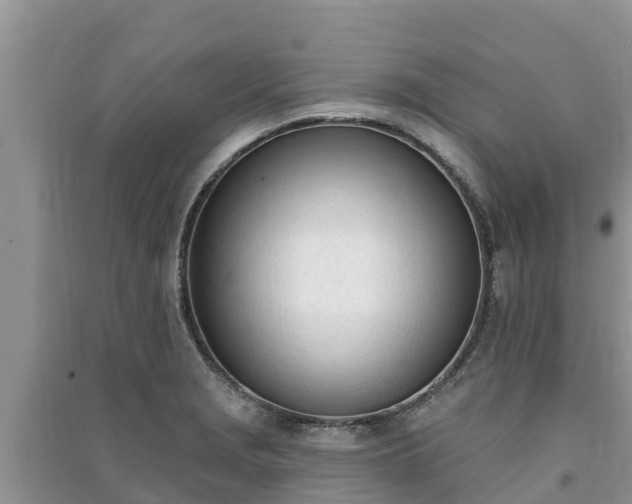 X0000091071229200708131145