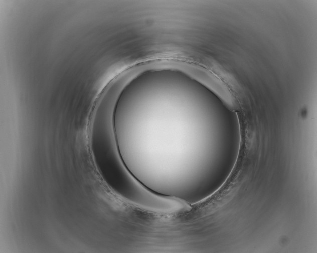 X0000091071230200708131145