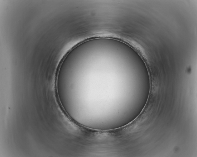 X0000091071231200708131145