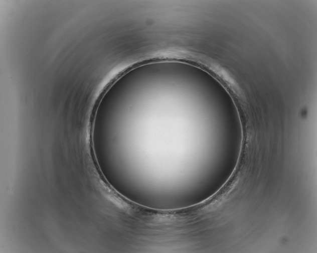 X0000091071232200708131145