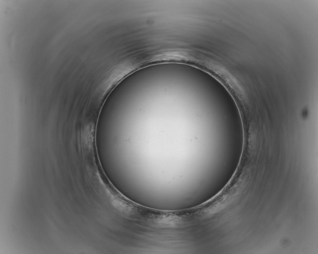 X0000091071233200708131145