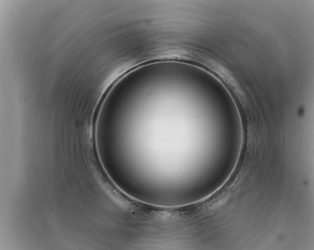 X0000091071234200708131145