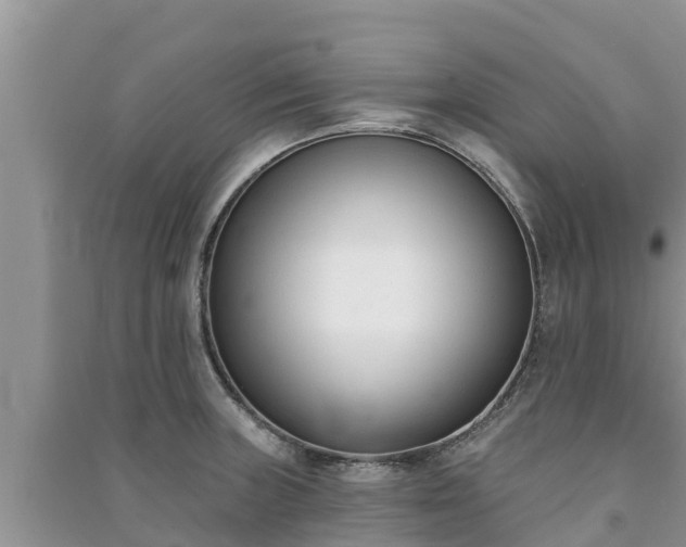 X0000091071235200708131145