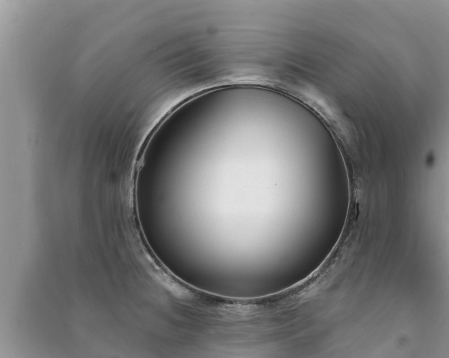 X0000091071236200708131145